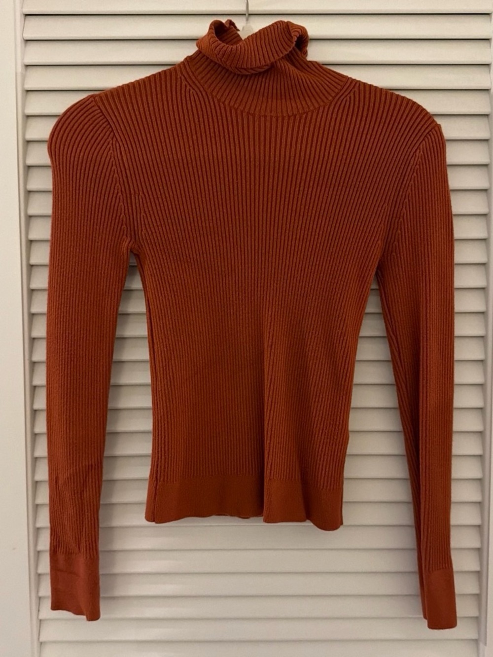 Abercrombie & Fitch Ribbed Turtleneck in Rust Orange